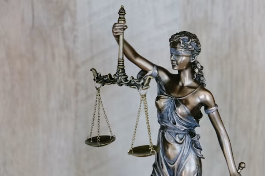 Sesión de formación de carrera judicial